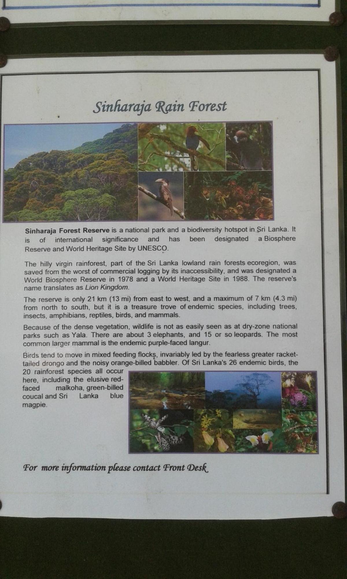 Kaween Homestay Велигама Экстерьер фото